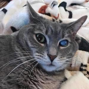 Meet your Posher, Linda